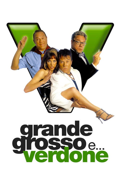 Grande, grosso e… Verdone poster