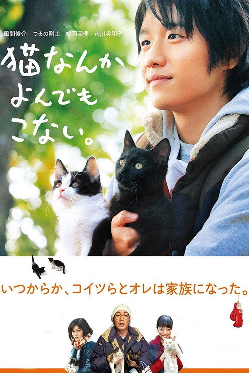 Cats Don’t Come When You Call poster