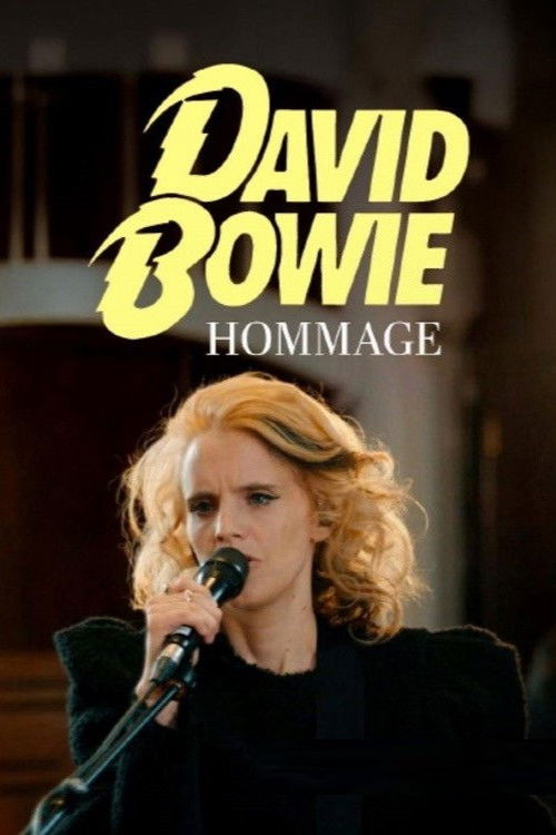 Tribute to David Bowie – Heroes Never Die poster