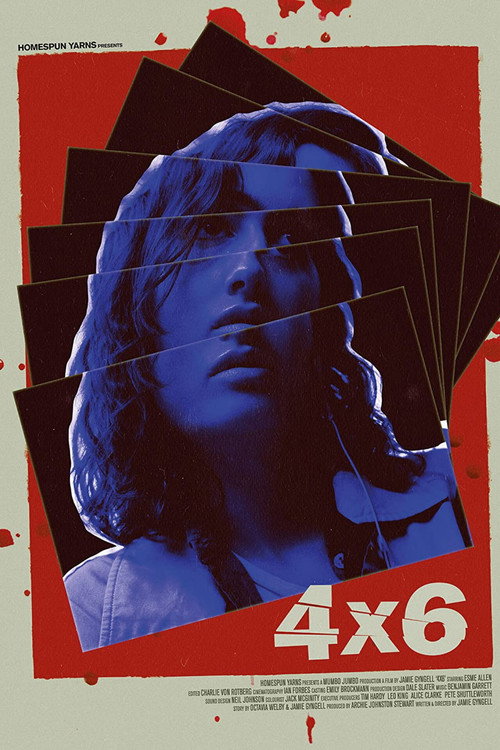 4×6 poster