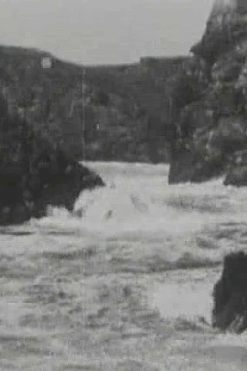 Ocean Studies poster
