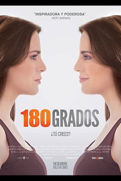 180º poster