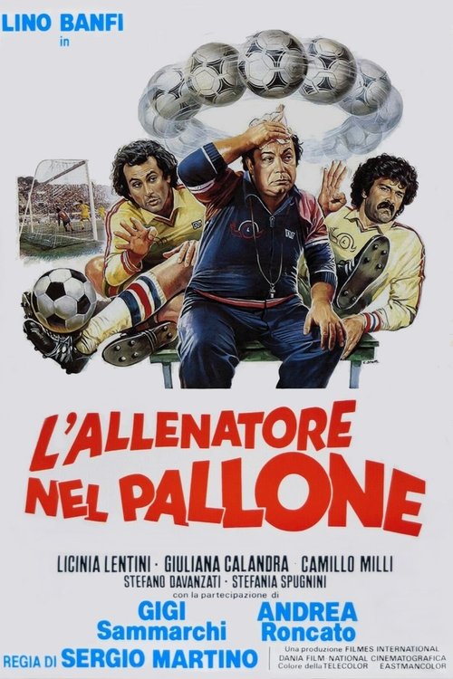 L’allenatore nel pallone poster