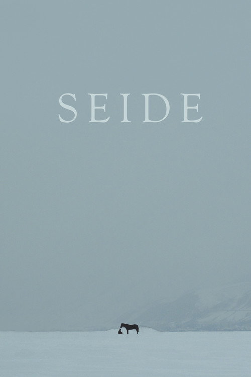 Seide poster