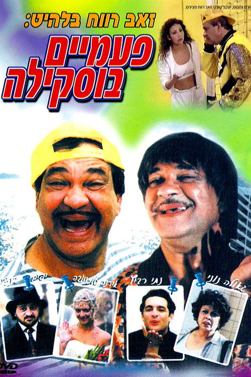 Buskila Twins poster