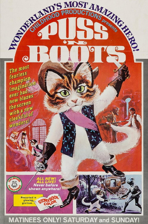 Puss ‘n Boots poster