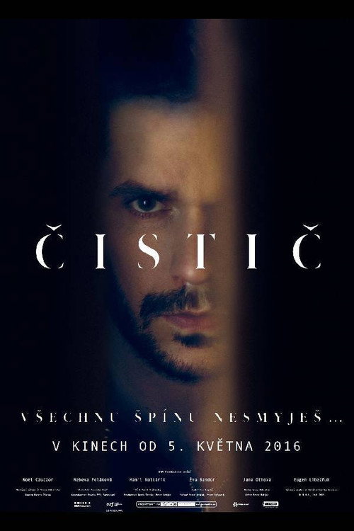 The Cleaner poster
