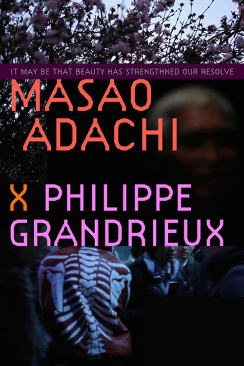 It May Be That Beauty Has Strengthened Our Resolve – Masao Adachi poster