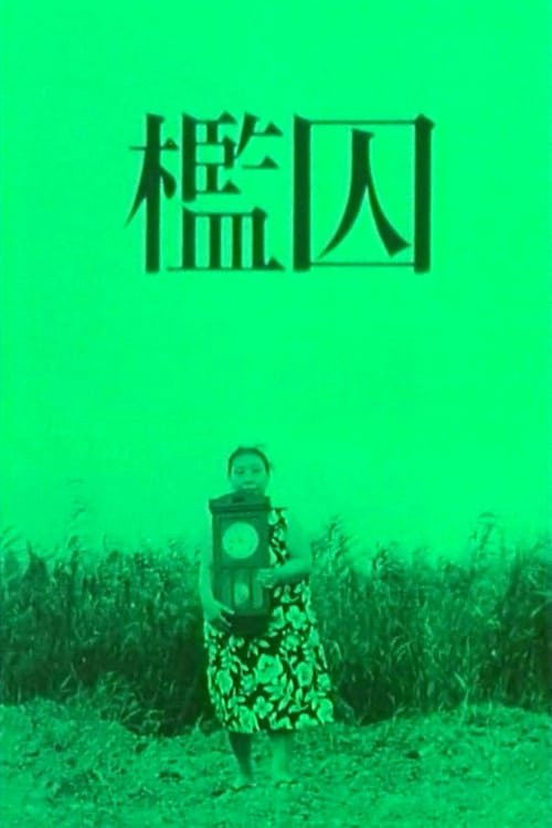 The Cage poster