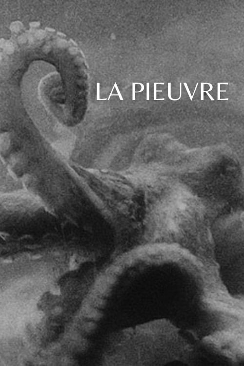 The Octopus poster