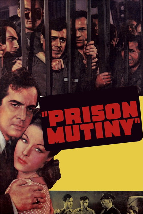 You Can’t Beat the Law poster