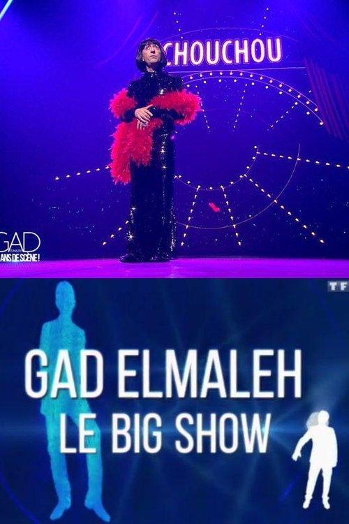 Gad Elmaleh – Le Big Show poster