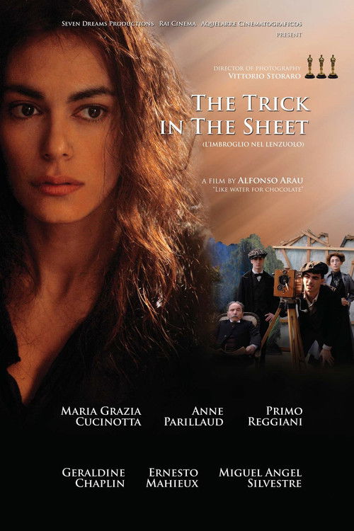 L’imbroglio nel lenzuolo poster