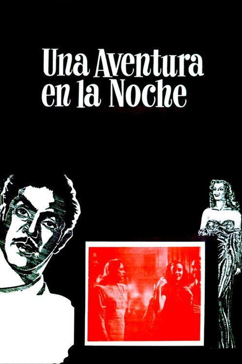 An Adventure in the Night poster
