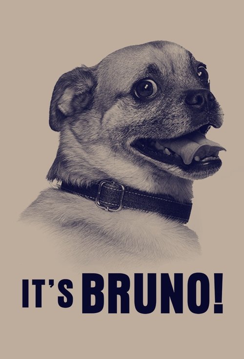 It’s Bruno! poster