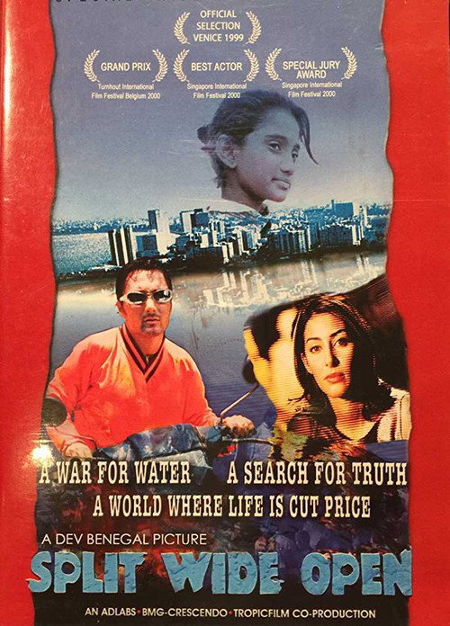 Split Wide Open poster