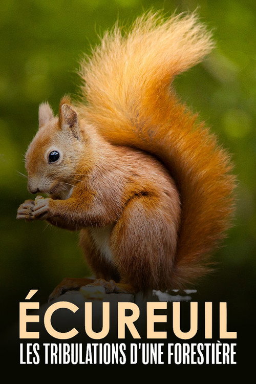 Écureuil : Les Tribulations d’une forestière poster