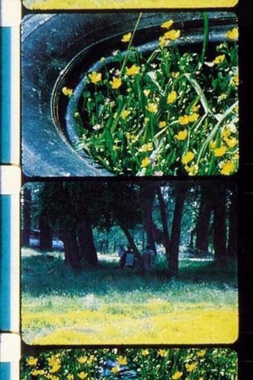 Bouquets 1-10 poster