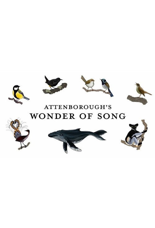Attenborough’s Wonder of Song poster