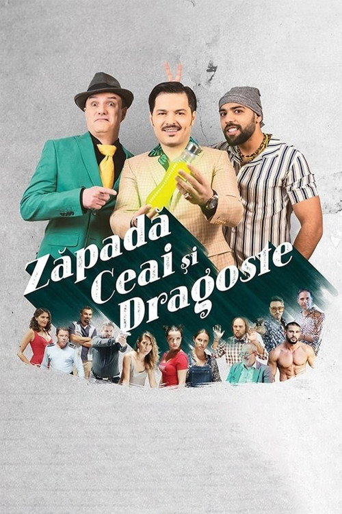 Snow, Tea and Love poster
