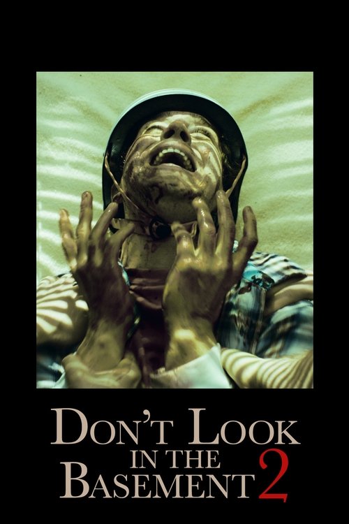 Don’t Look in the Basement 2 poster