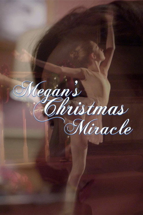 Megan’s Christmas Miracle poster