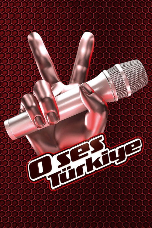 O Ses Türkiye poster