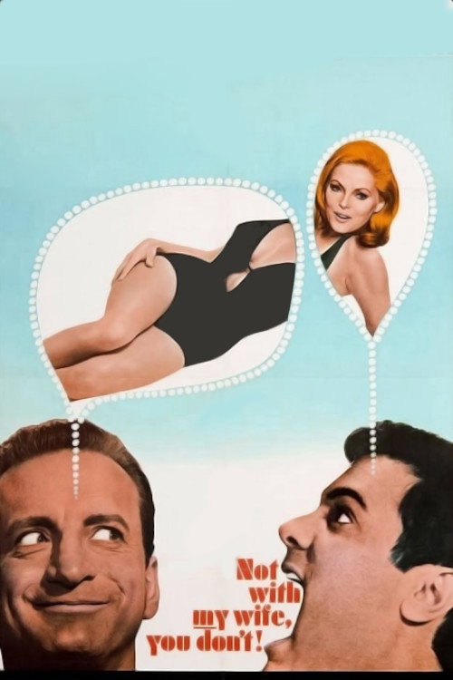 Not With My Wife, You Don’t! poster