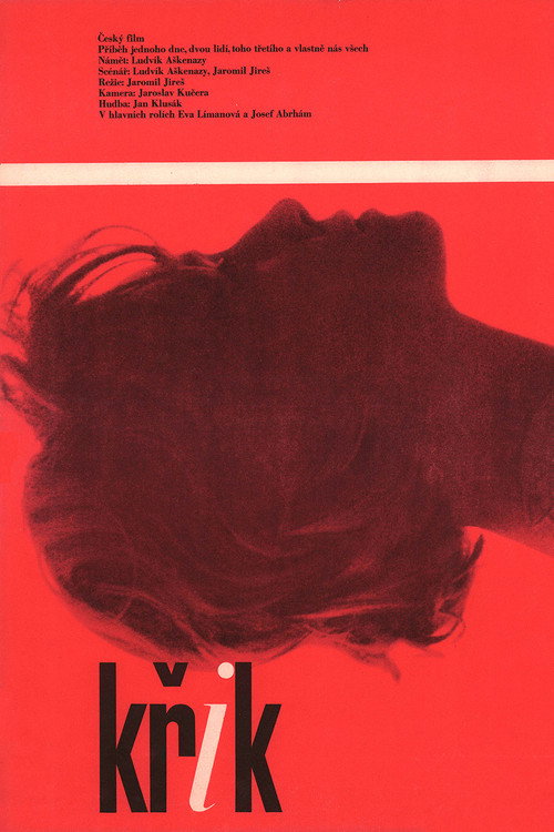 The Cry poster