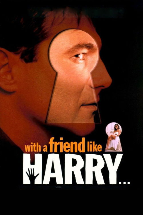 With a Friend Like Harry… poster