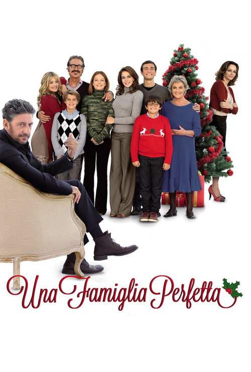 A Perfect Family poster