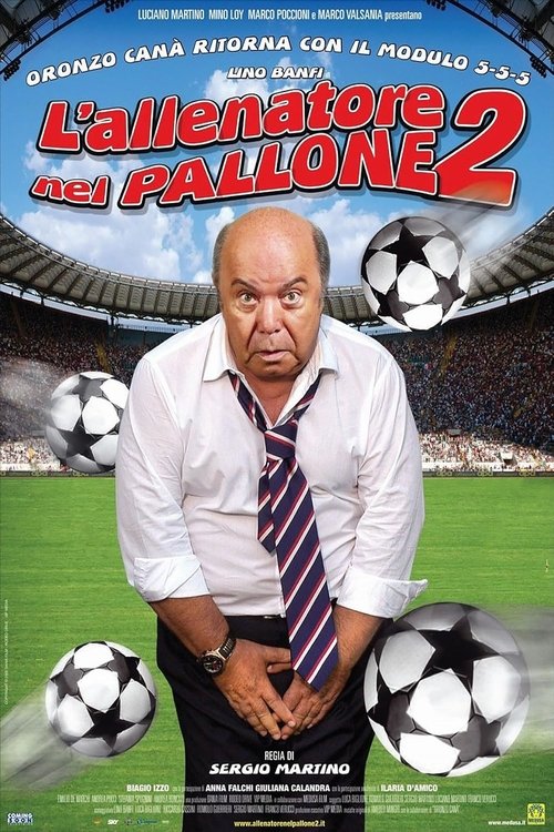 L’allenatore nel pallone 2 poster