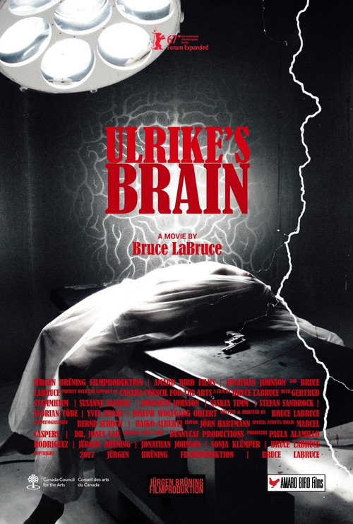 Ulrike’s Brain poster