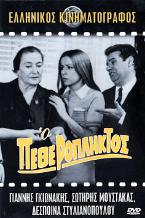 The Father-in-Law poster