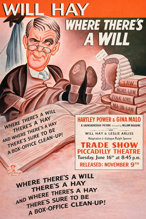 Where There’s a Will poster