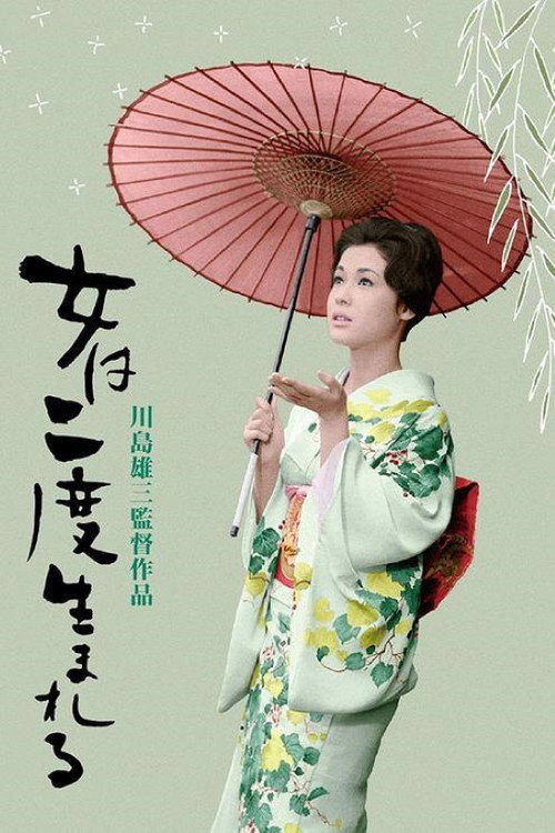 A Geisha’s Diary poster