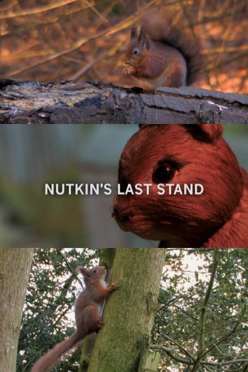 Nutkin’s Last Stand poster