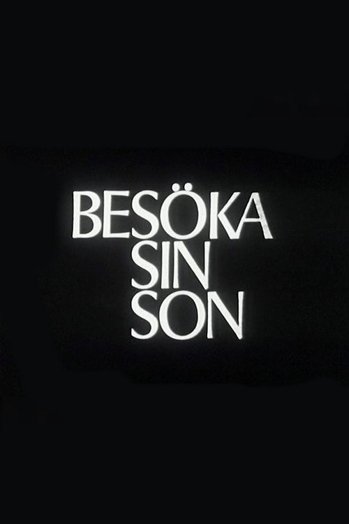 Visiting One’s Son poster