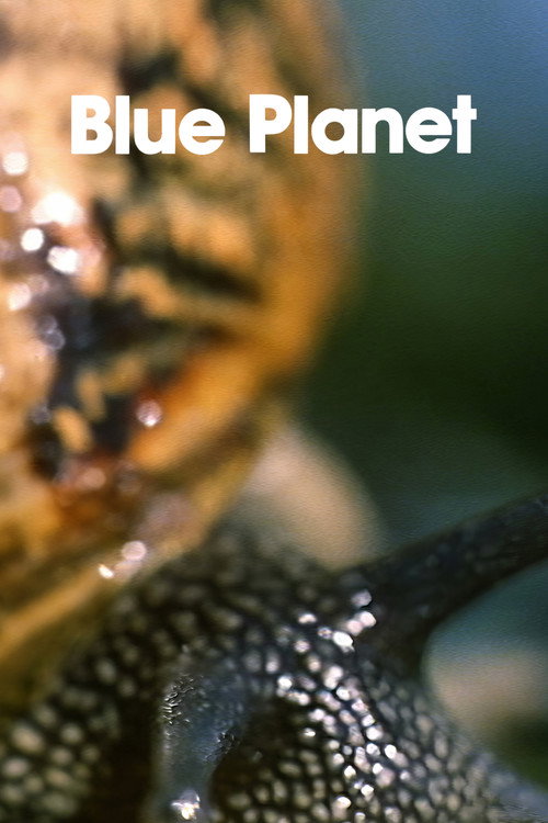 The Blue Planet poster