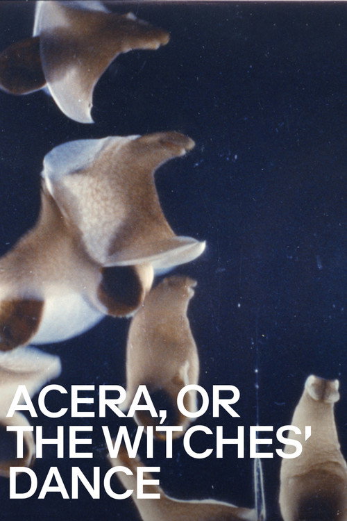 Acera, or the Witches’ Dance poster