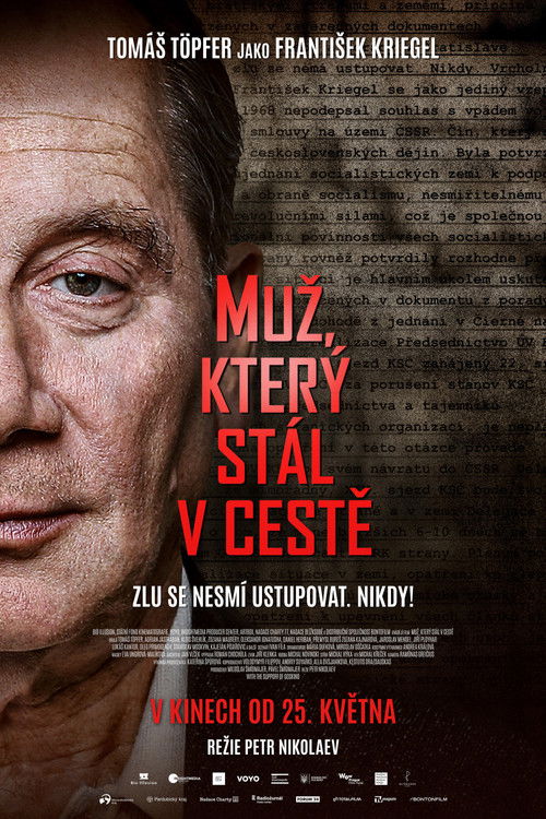 The Man Who Stood In the Way poster
