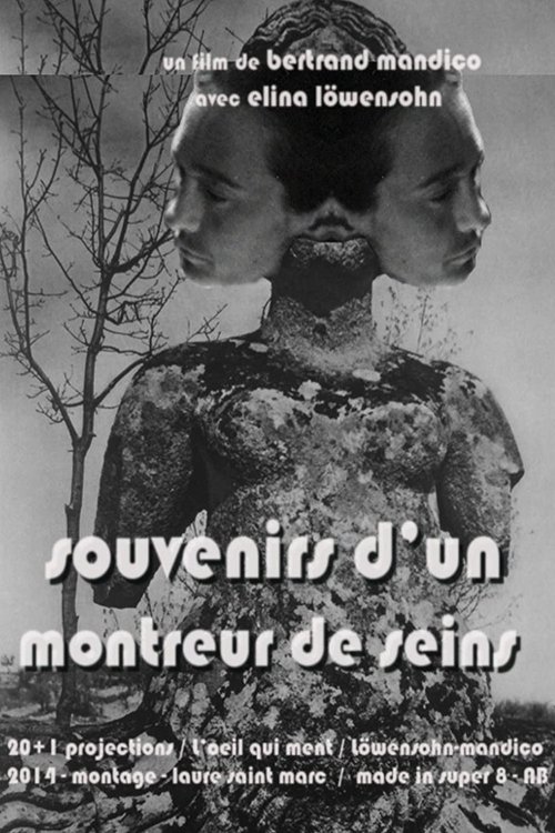 Memories of a Boobs Flasher poster