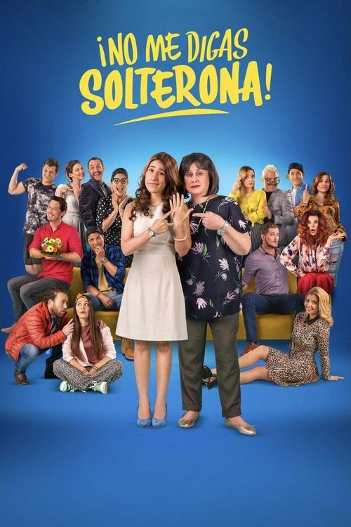 Don’t Call Me Spinster poster