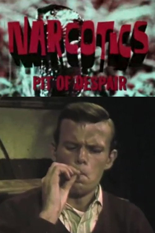 Narcotics: Pit of Despair poster
