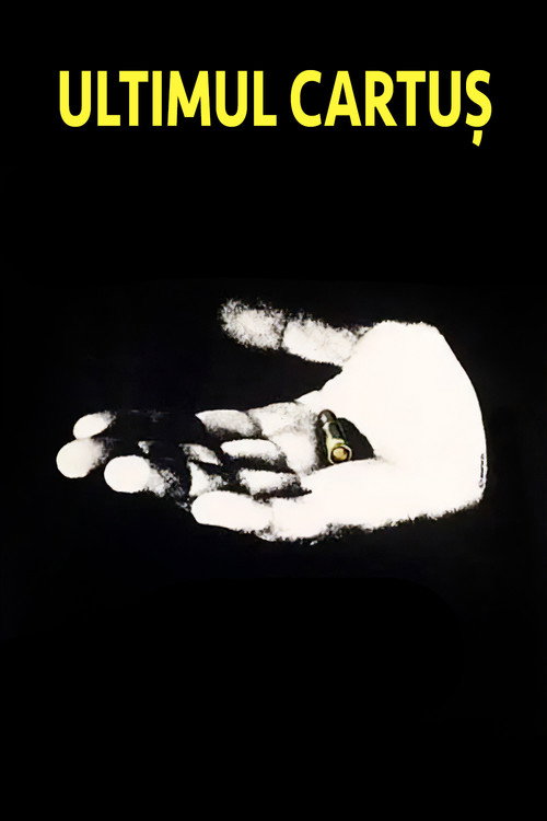 The Last Bullet poster