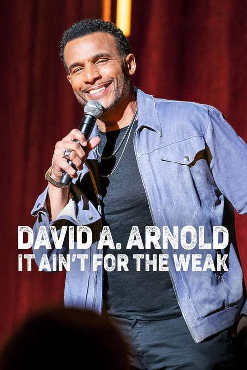 David A. Arnold: It Ain’t for the Weak poster