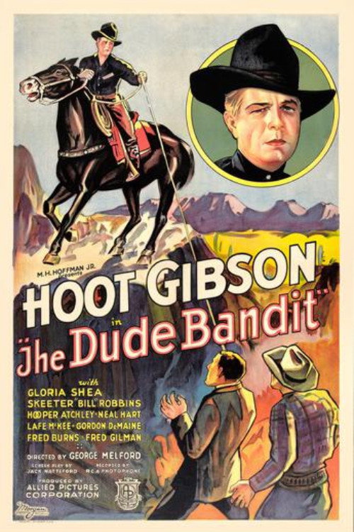 The Dude Bandit poster