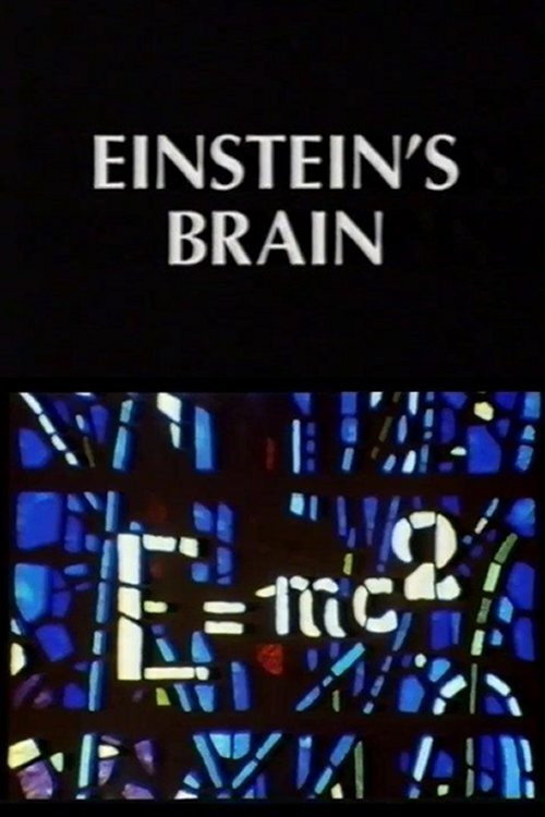 Relics: Einstein’s Brain poster