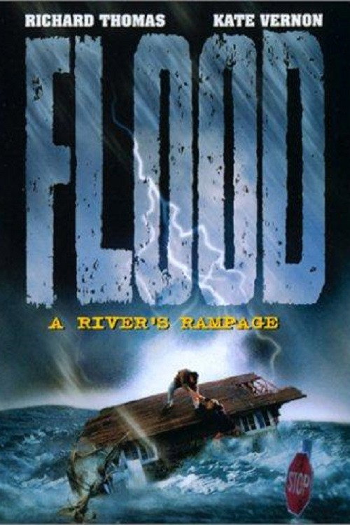 Flood: A River’s Rampage poster