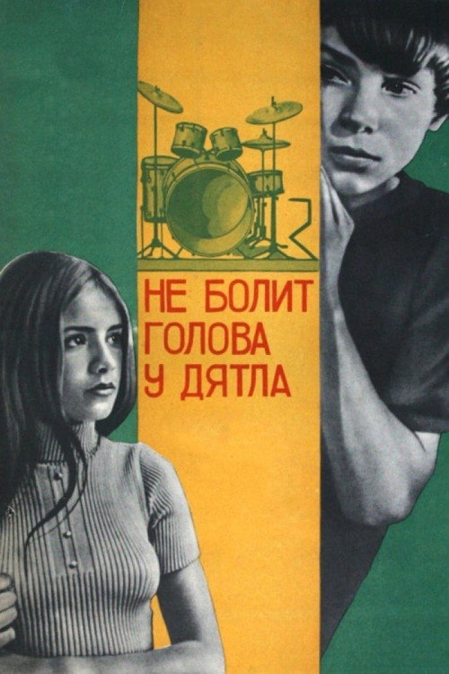 Woodpeckers Don’t Get Headaches poster